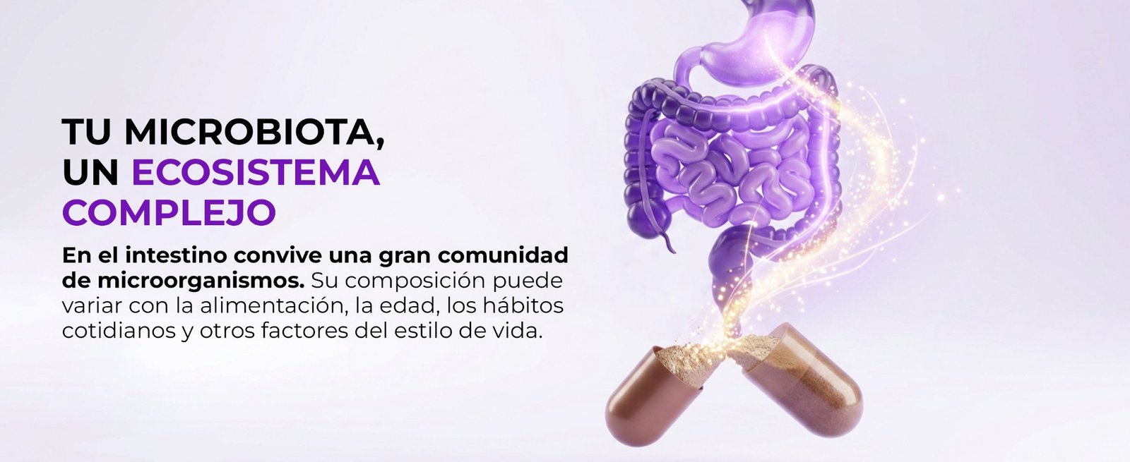 Microbiota intestinal: qué es, para qué sirve y cómo cuidarla